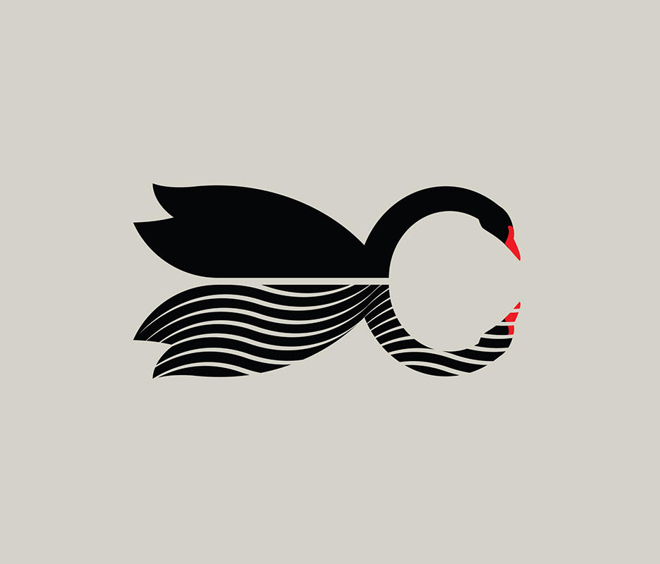 Cygnus logo design